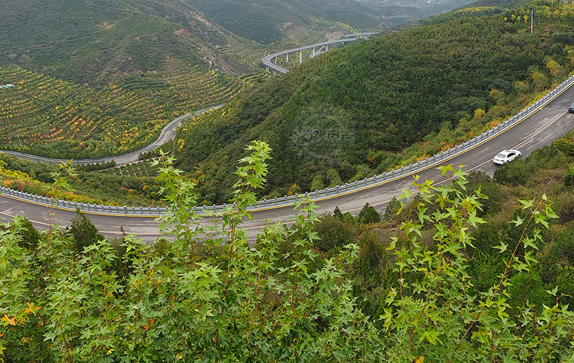 天龙山旅游公路秋色浓