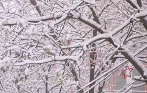 汾西迎来立春后首场降雪