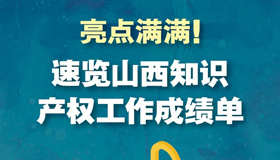 【图解】速览山西知识产权工作成绩单