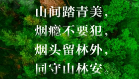 【海报】莫让一时疏忽毁掉整片森林