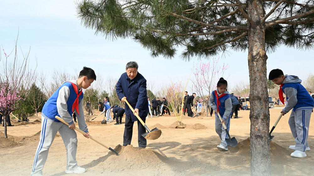 学习新语｜“义务植树是全民行动”