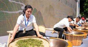 湖南永州举行手工制茶技能大赛