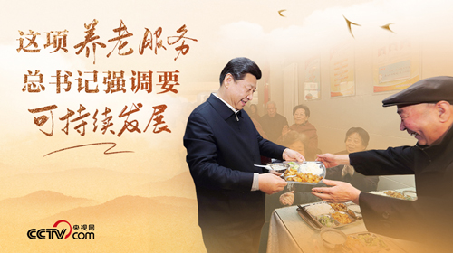这项养老服务，总书记强调要可持续发展