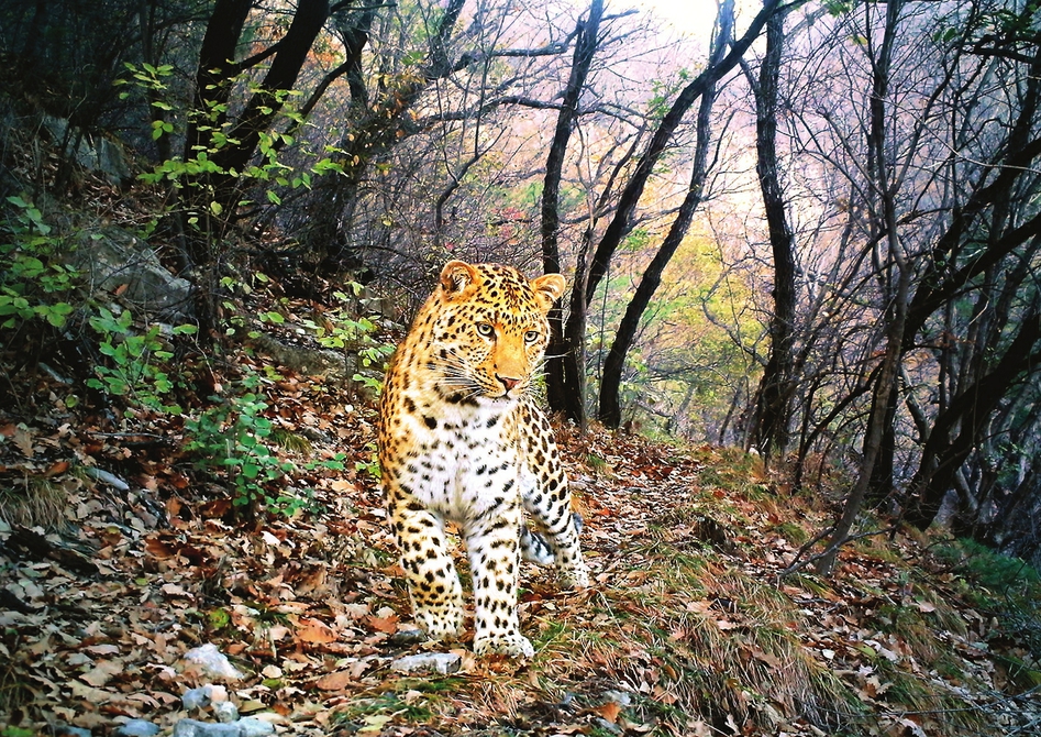 20220517_0615a7ac1d65a1093dcb1de8f7dc945a.jpg